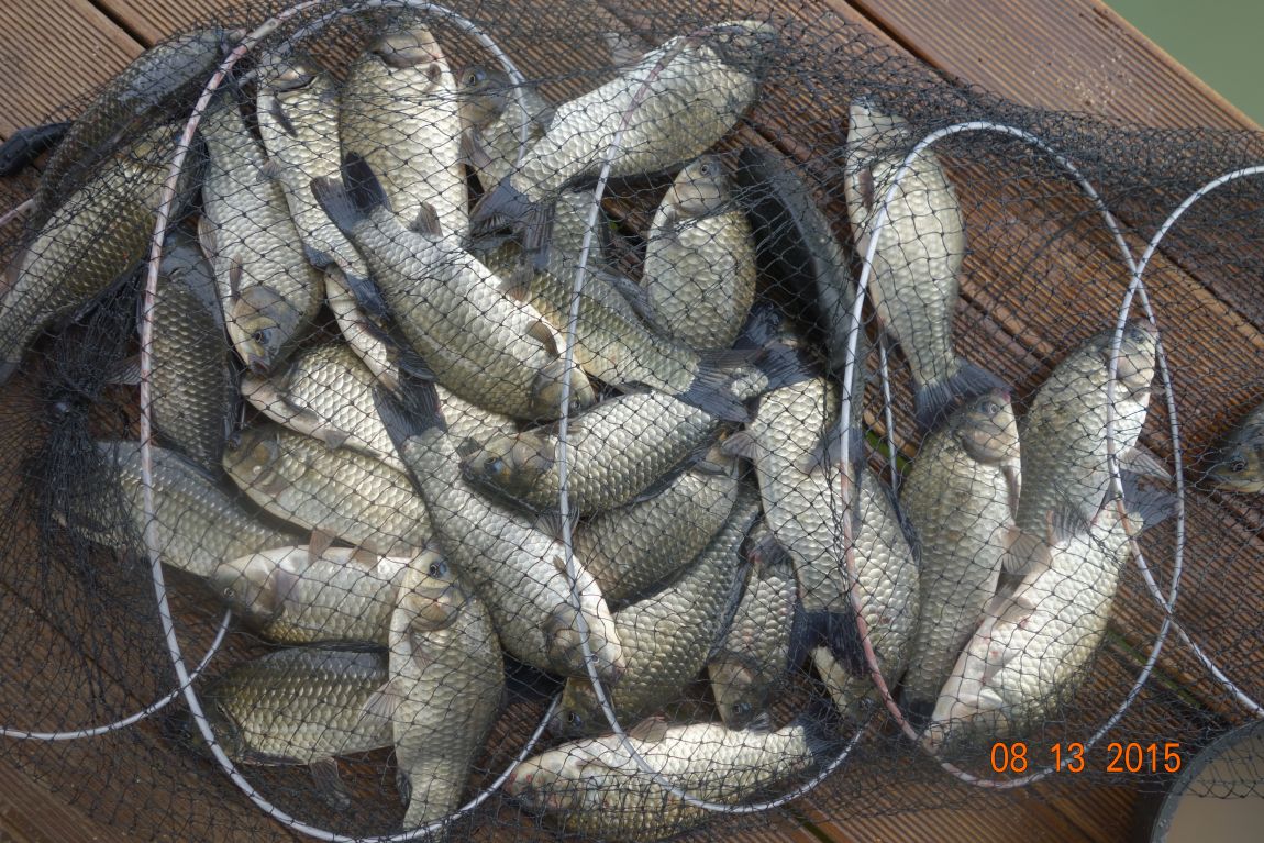 DSC06055.JPG