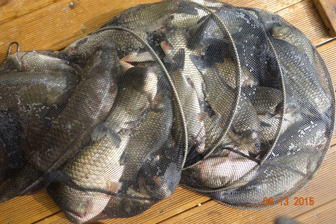 DSC06076.JPG