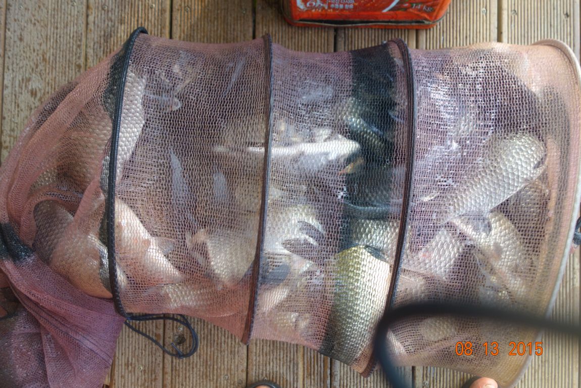 DSC06083.JPG