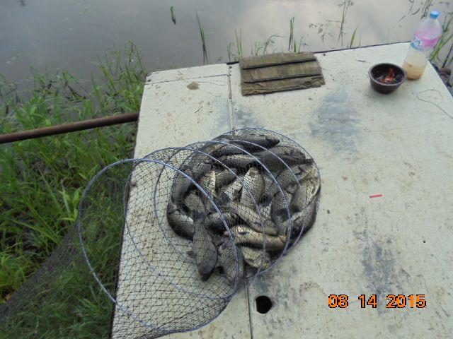 DSC03040.JPG