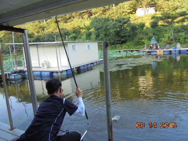DSC03050.JPG