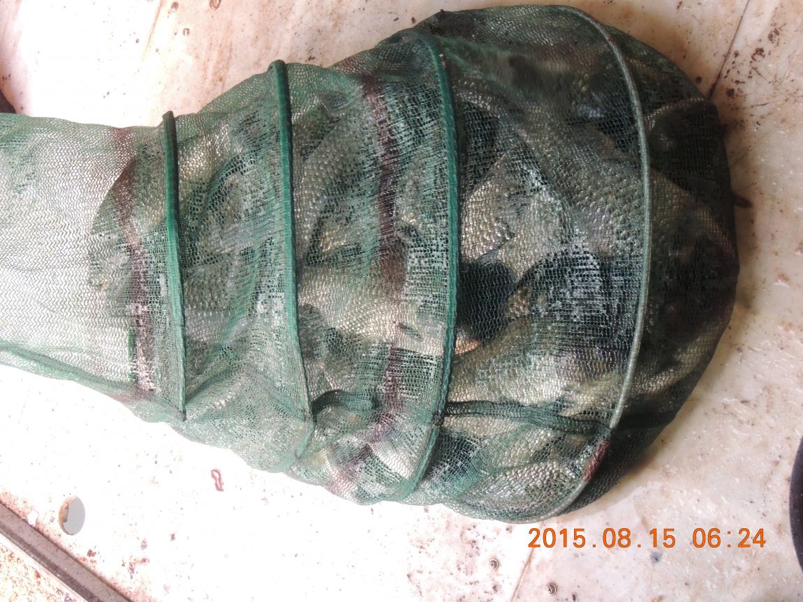 DSCN0371.JPG