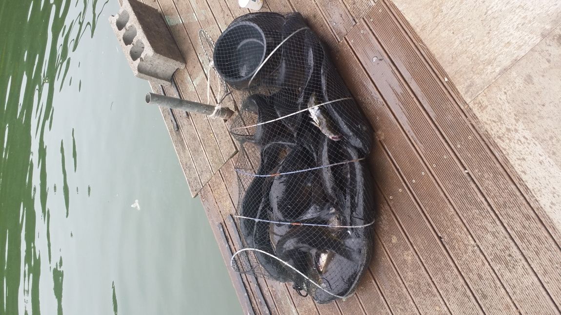 20150816_144027.jpg