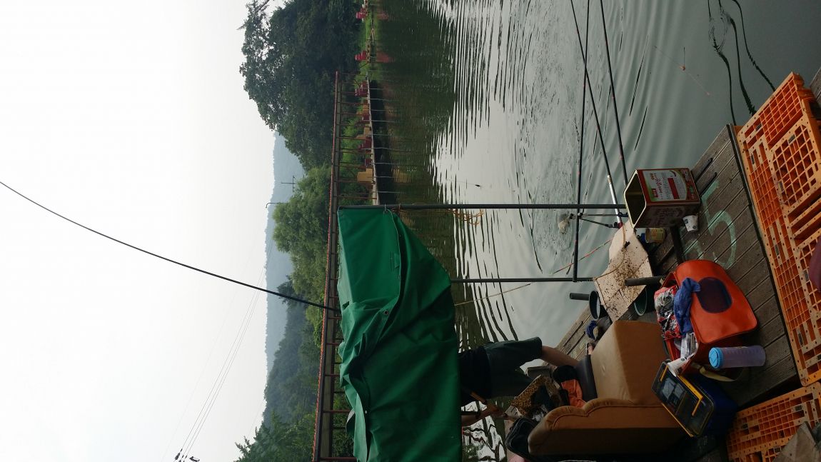 20150816_091945.jpg