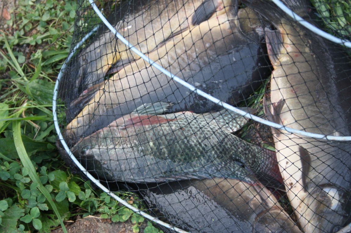 8��16�� 190.JPG