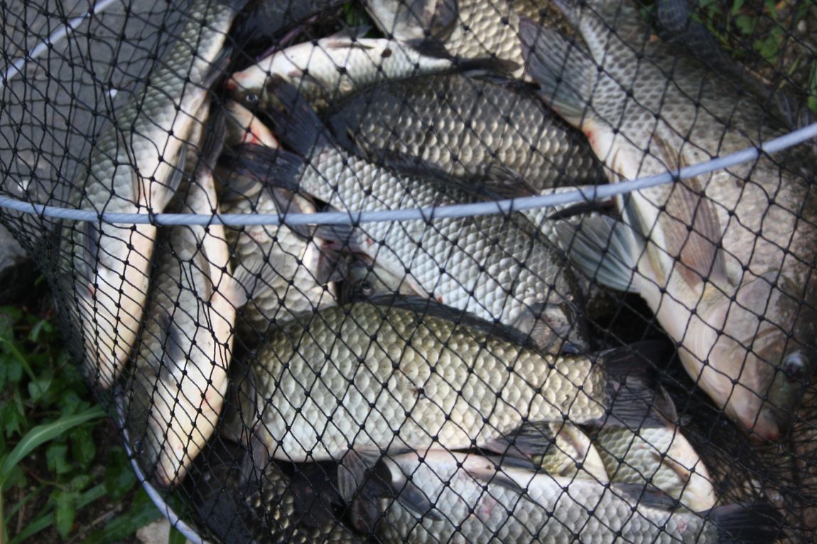 8��16�� 194.JPG