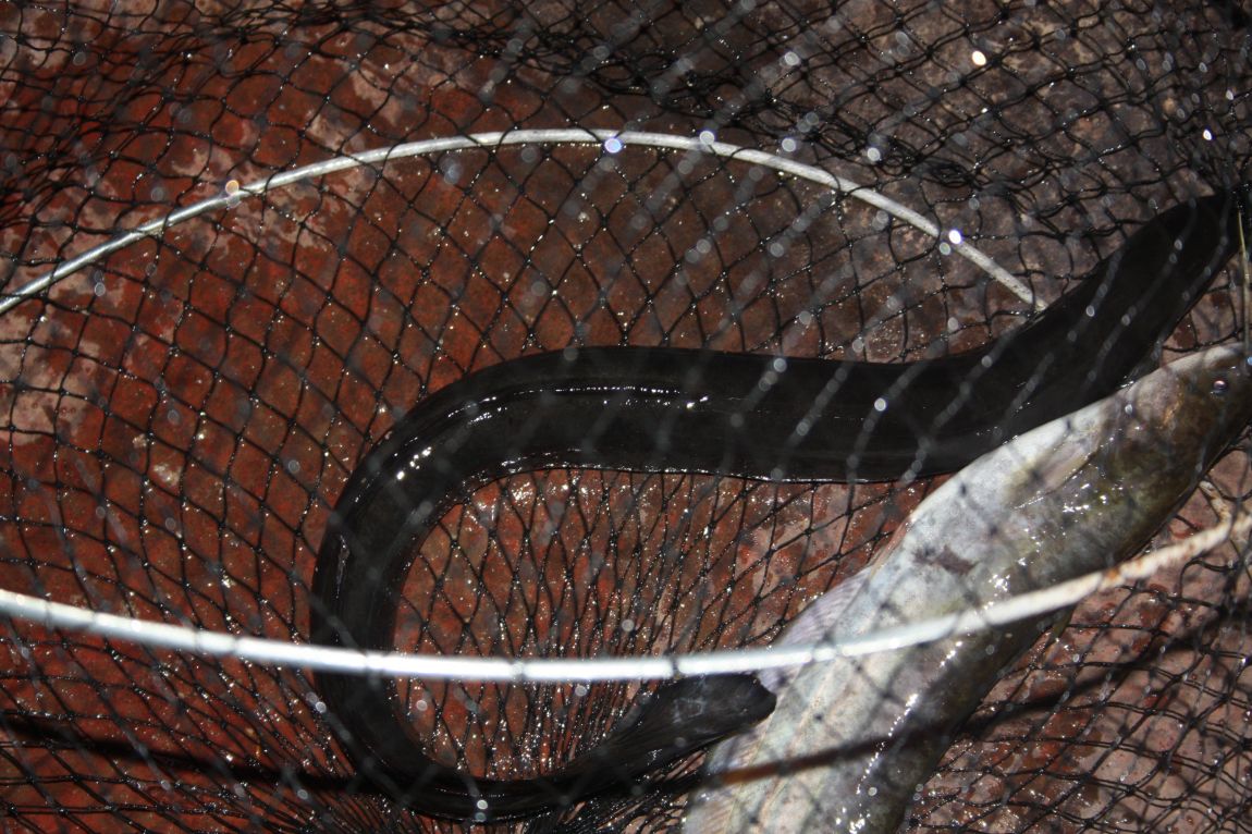 8��16�� 204.JPG