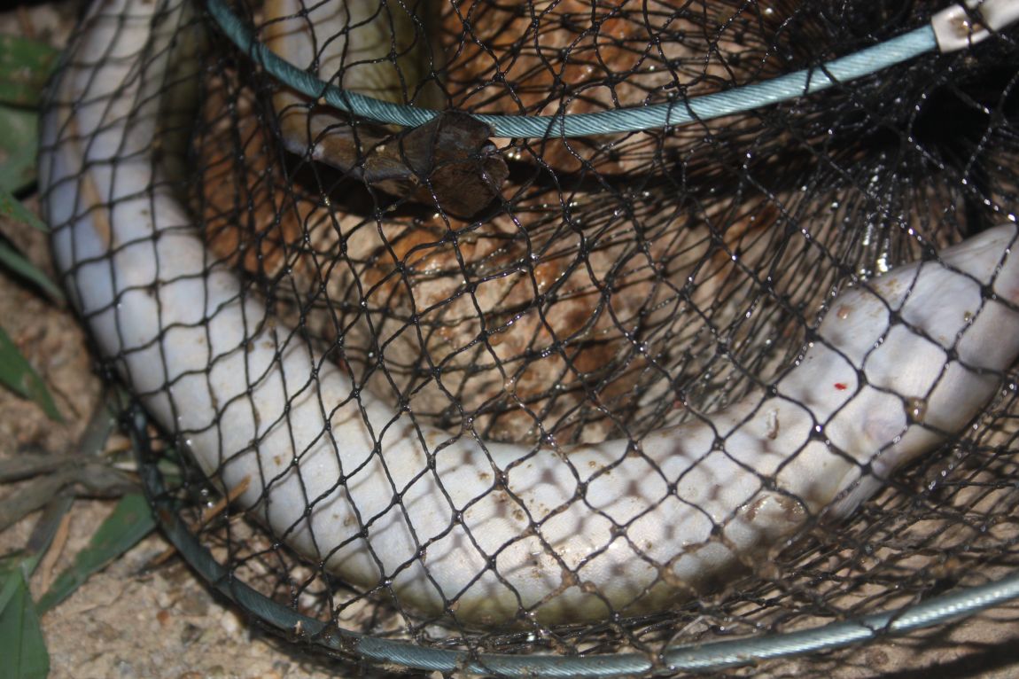 8��16�� 209.JPG