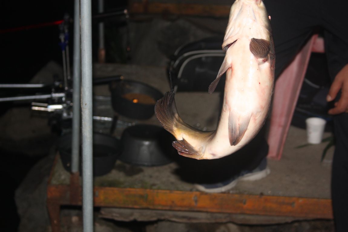 8��16�� 213.JPG