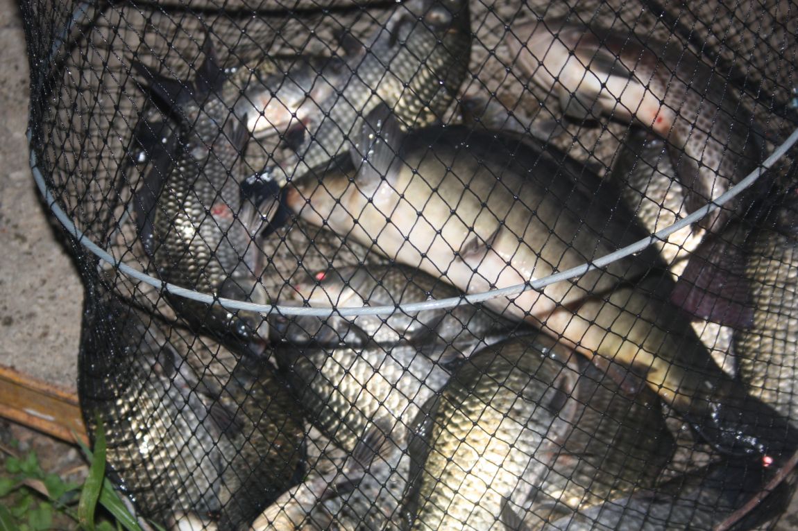 8��16�� 214.JPG