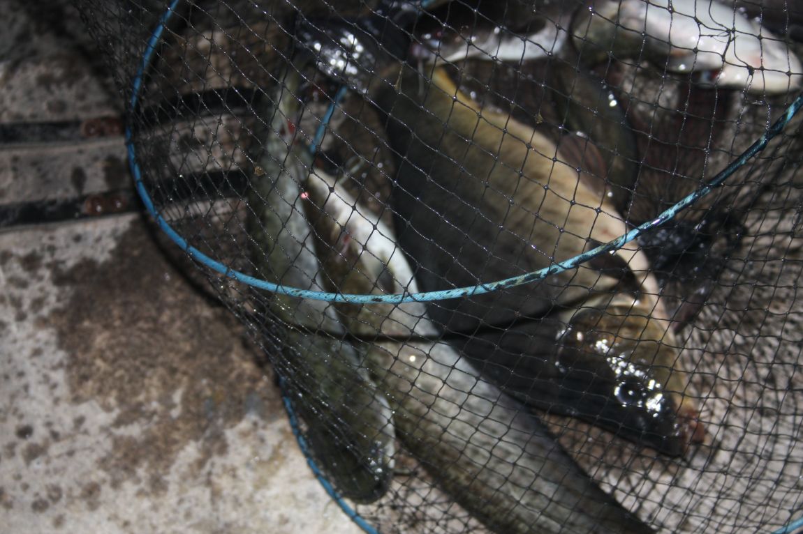 8��16�� 226.JPG