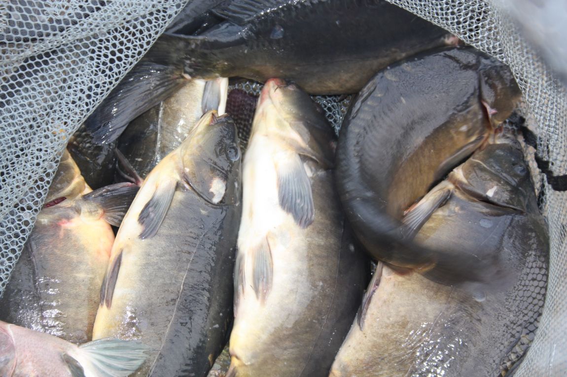 8��16�� 243.JPG