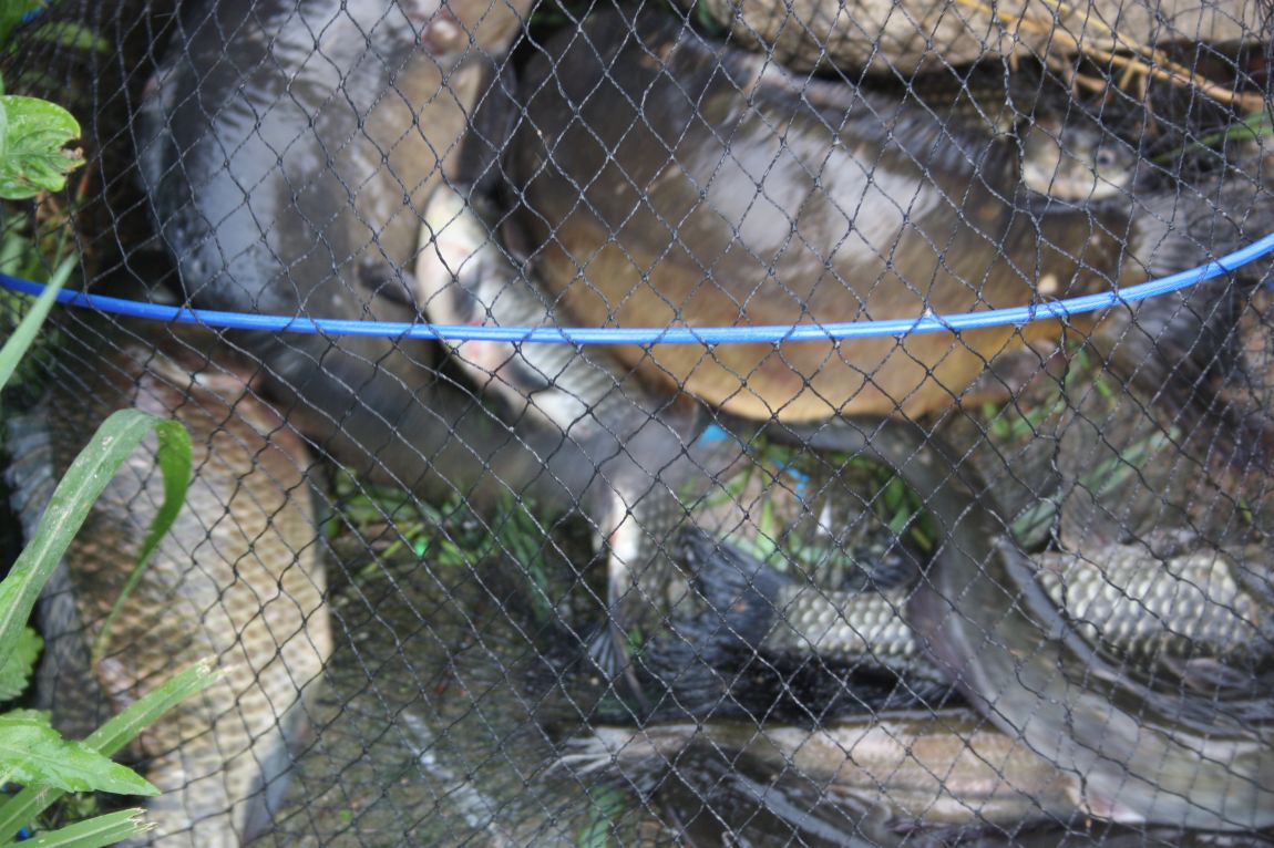 8��16�� 252.JPG