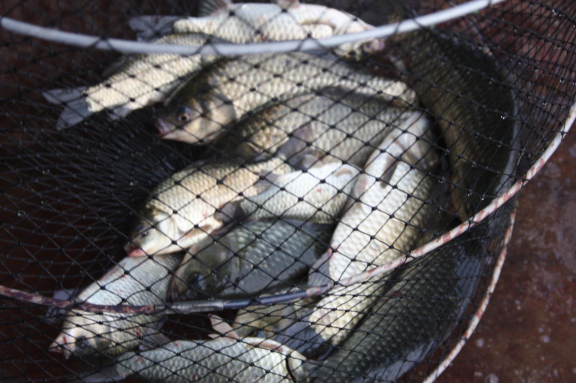 8��16�� 262.JPG