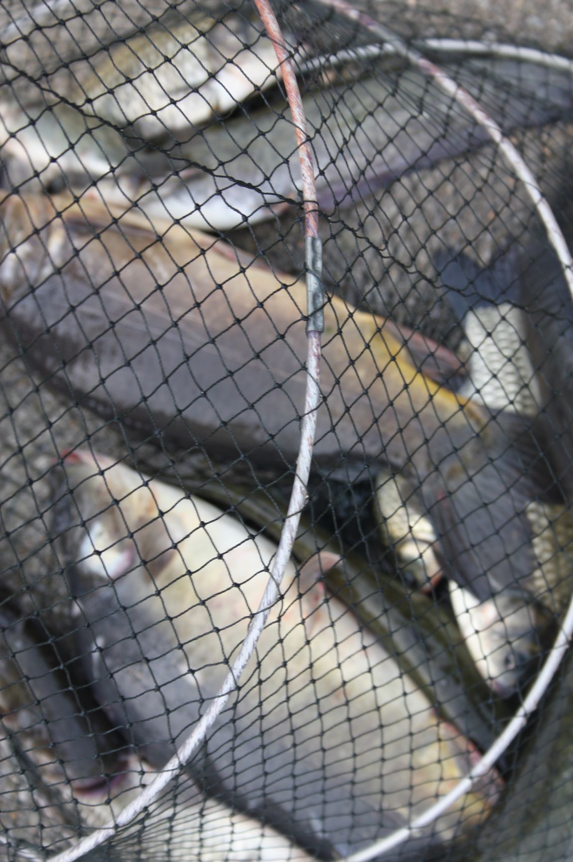 8��16�� 269.JPG