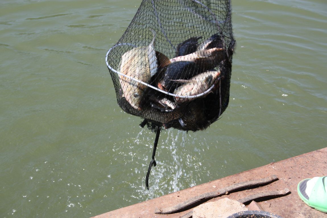 8��16�� 271.JPG