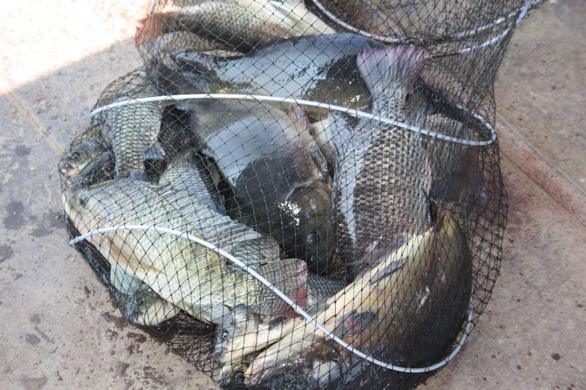 8��16�� 272.JPG