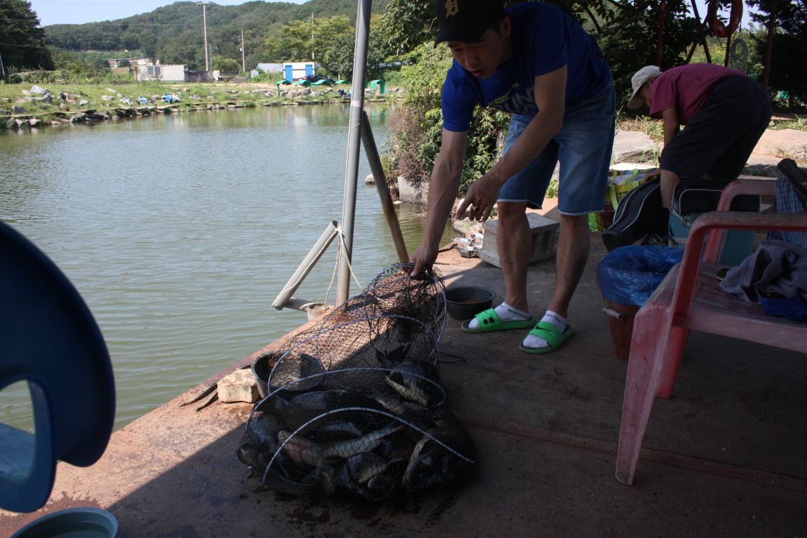 8��16�� 274.JPG