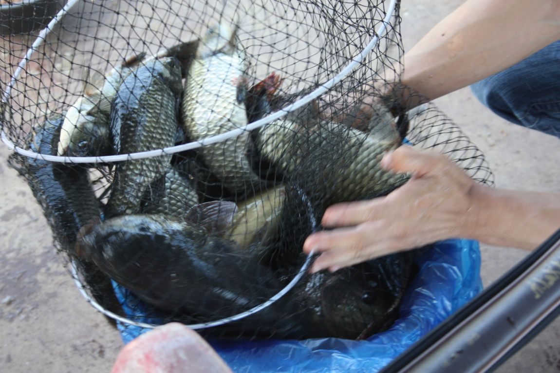 8��16�� 278.JPG