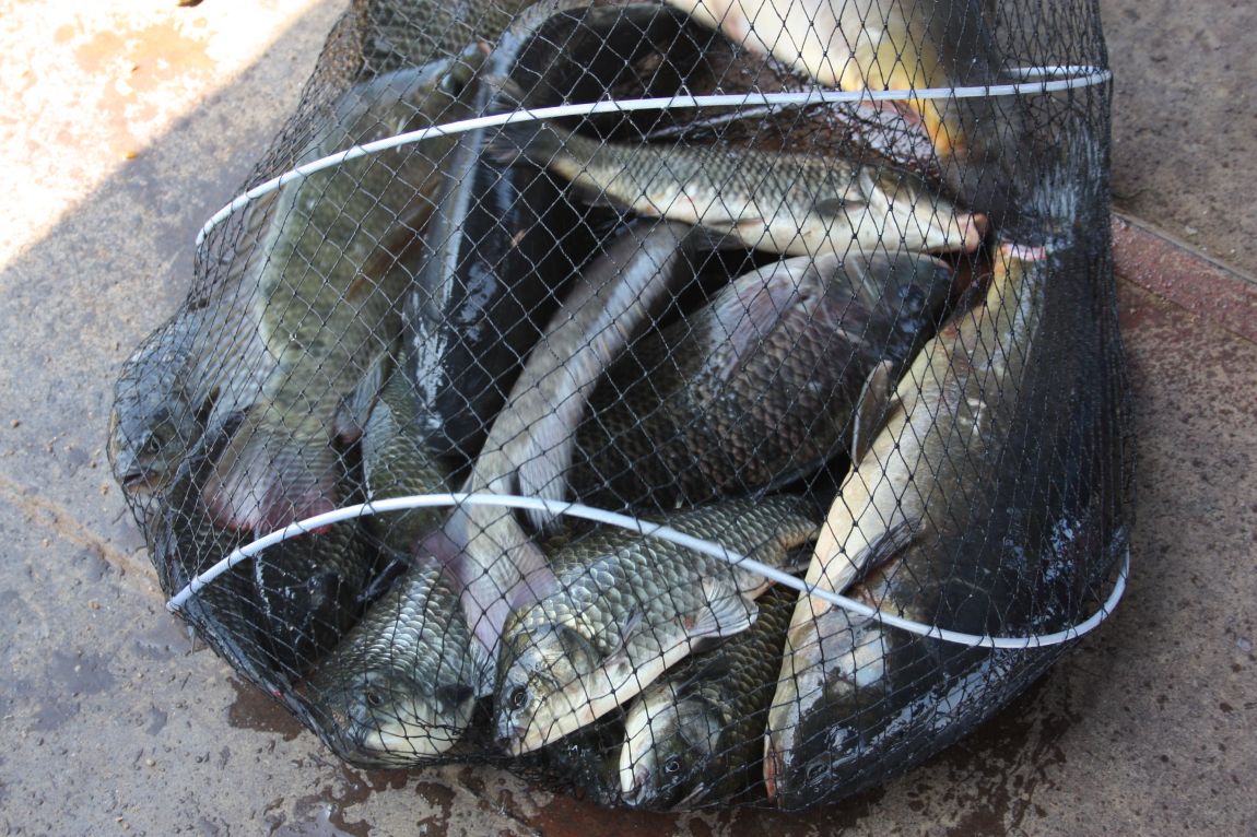 8��16�� 276.JPG