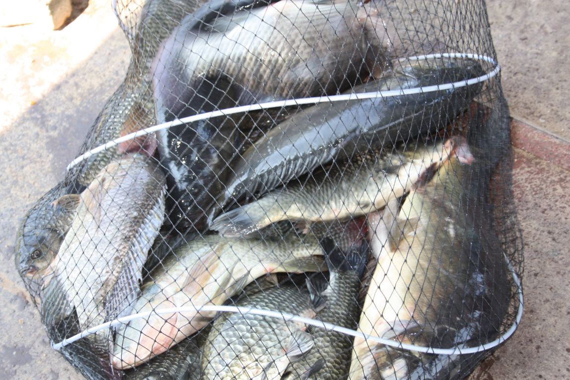 8��16�� 275.JPG