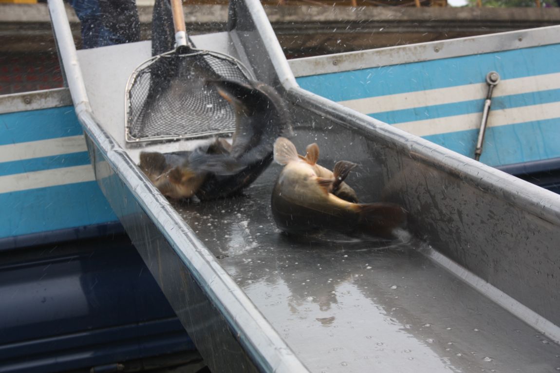 8��16�� 060.JPG