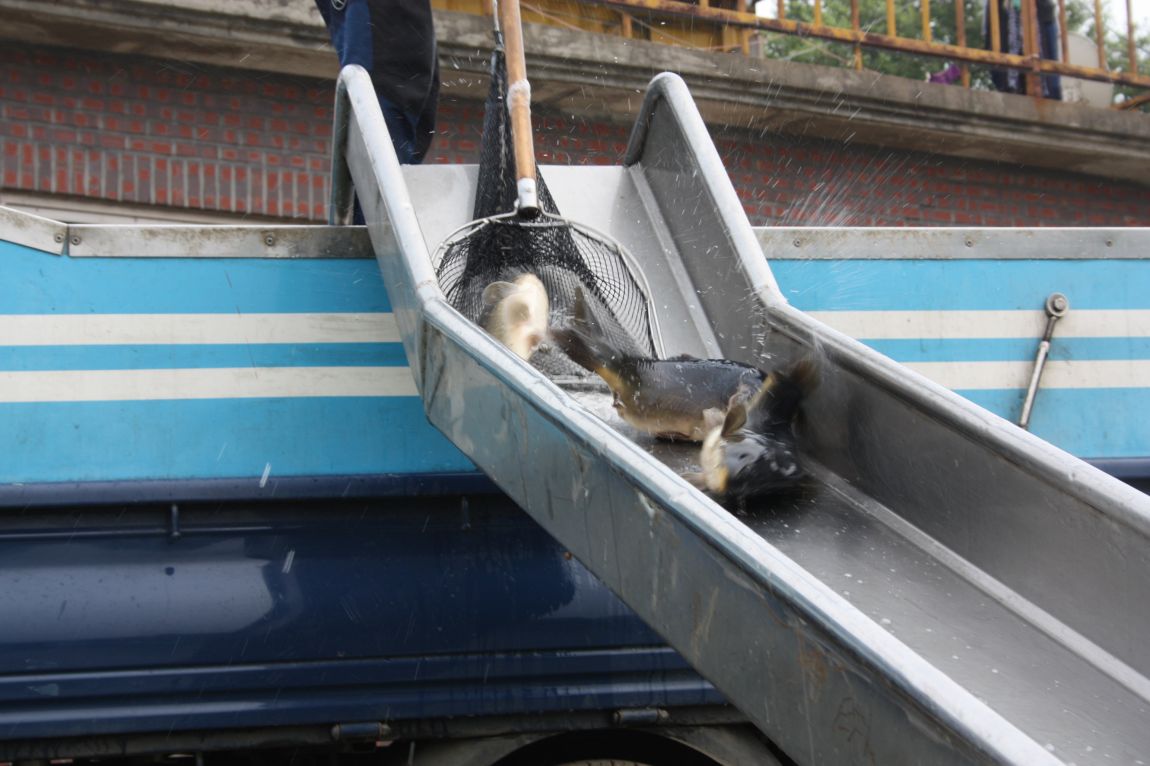 8��16�� 088.JPG