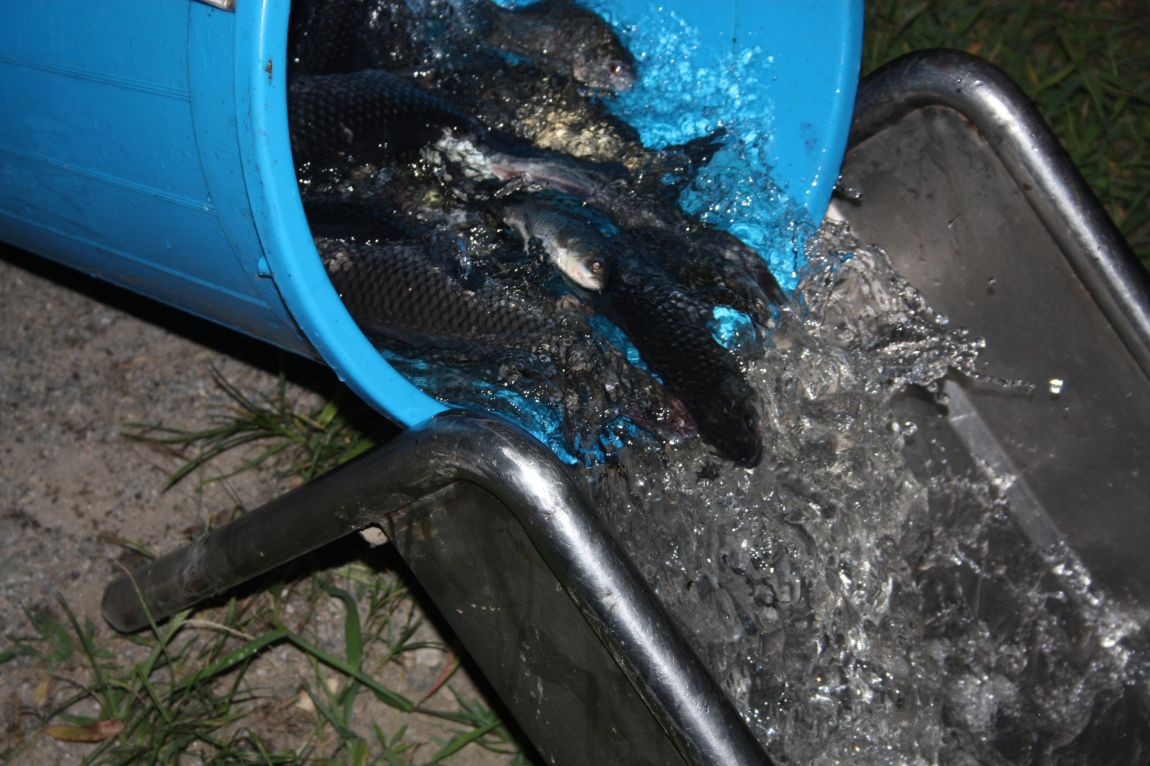 8��16�� 008.JPG