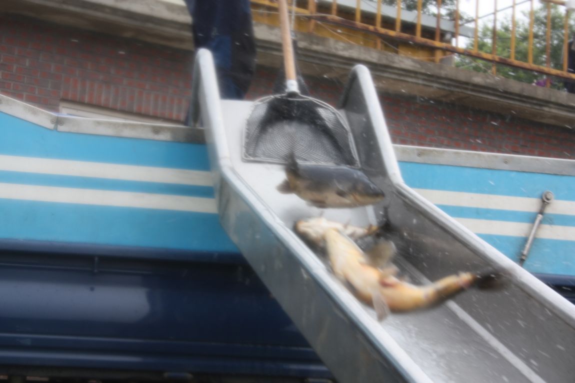 8��16�� 078.JPG