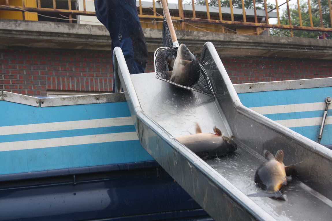 8��16�� 070.JPG