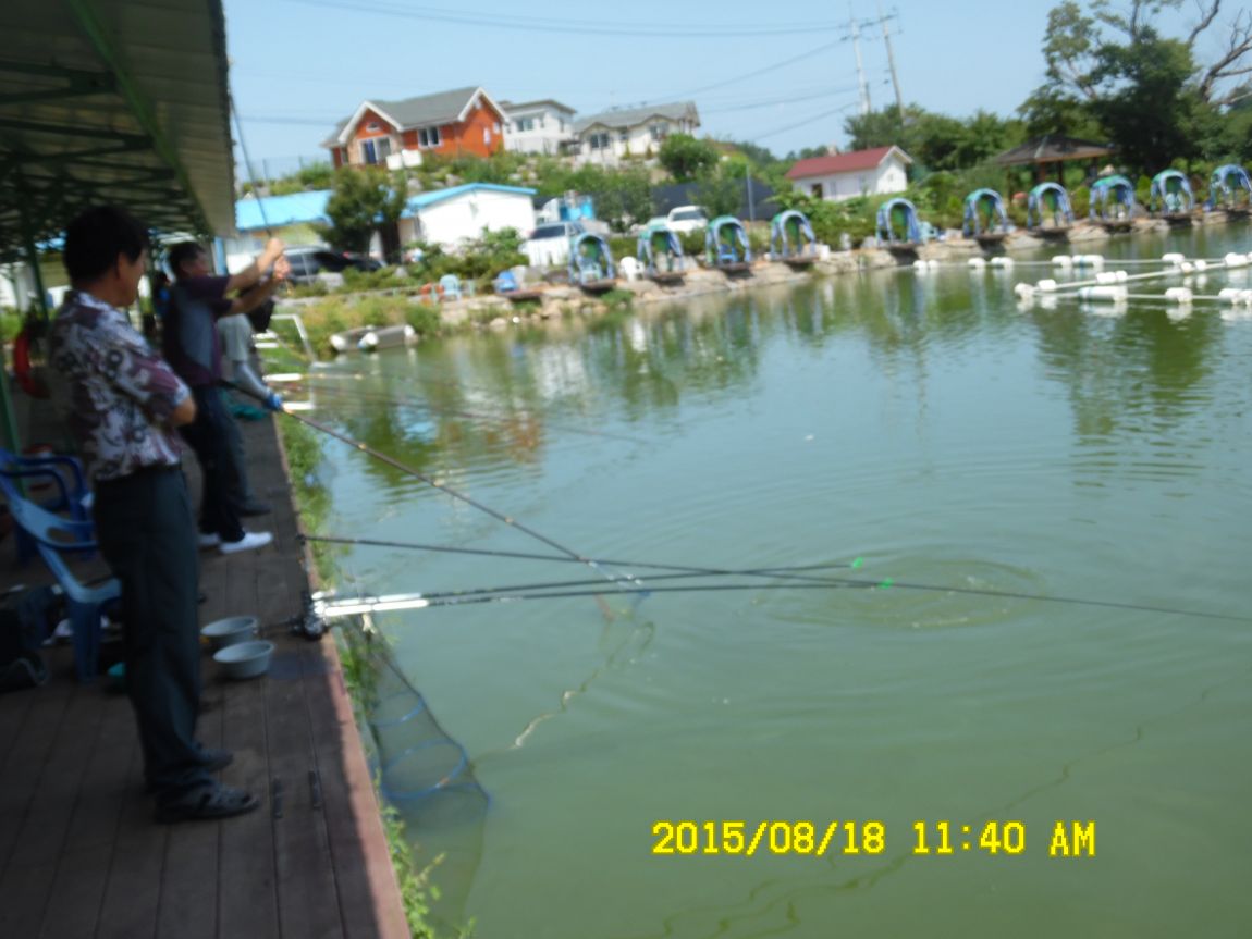 8��17��~18�� 003.JPG