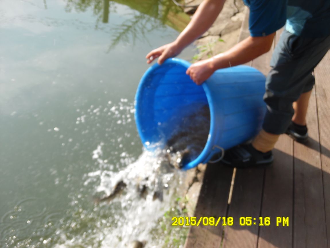 8��17��~18�� 005.JPG