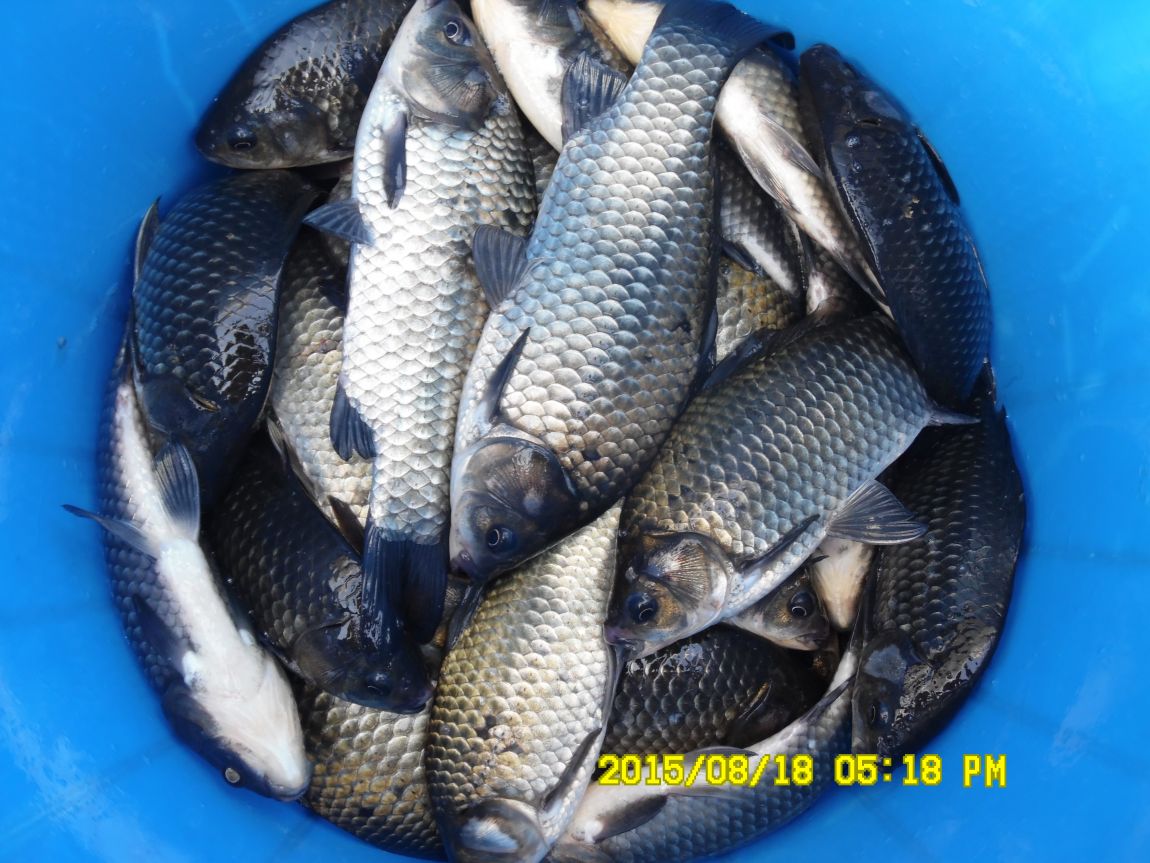 8��17��~18�� 006.JPG