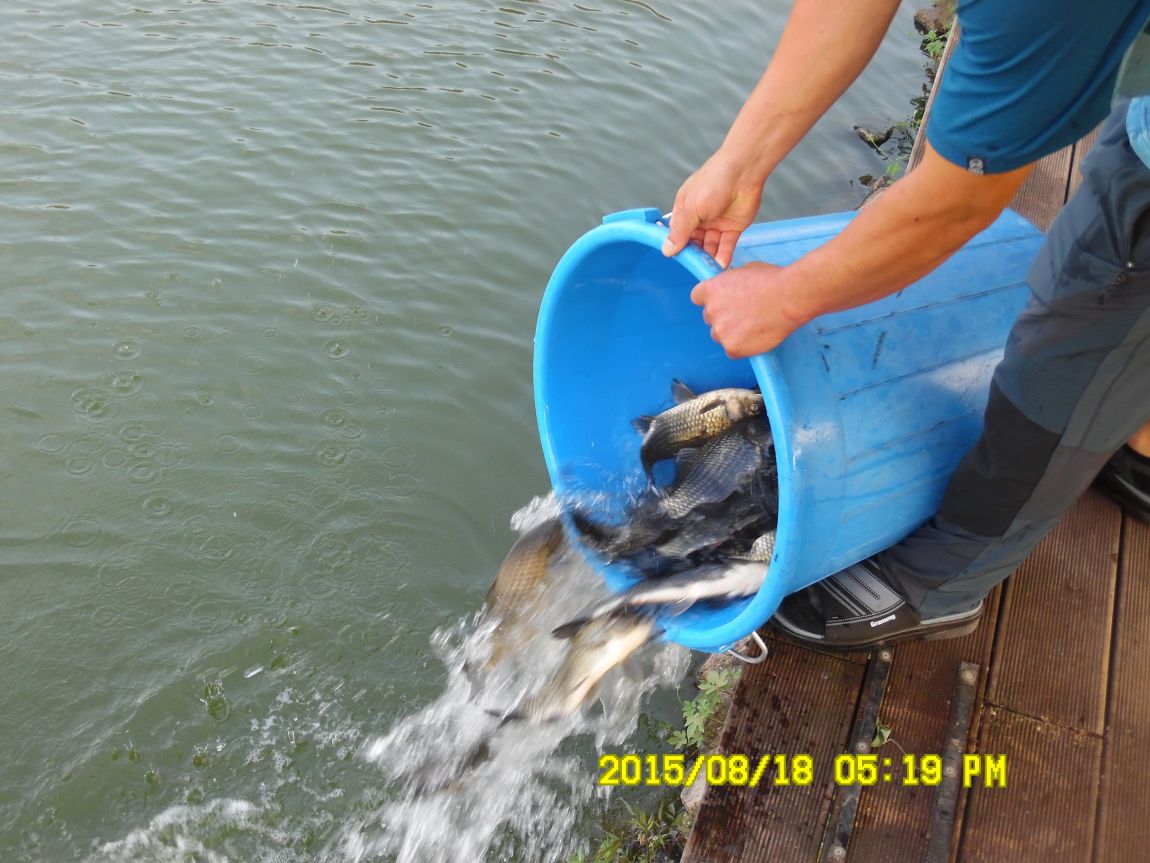 8��17��~18�� 007.JPG