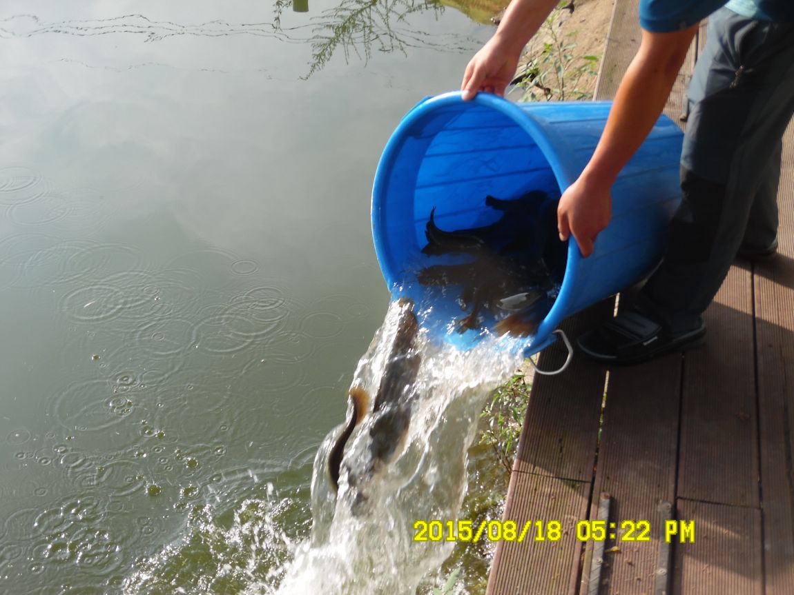 8��17��~18�� 008.JPG