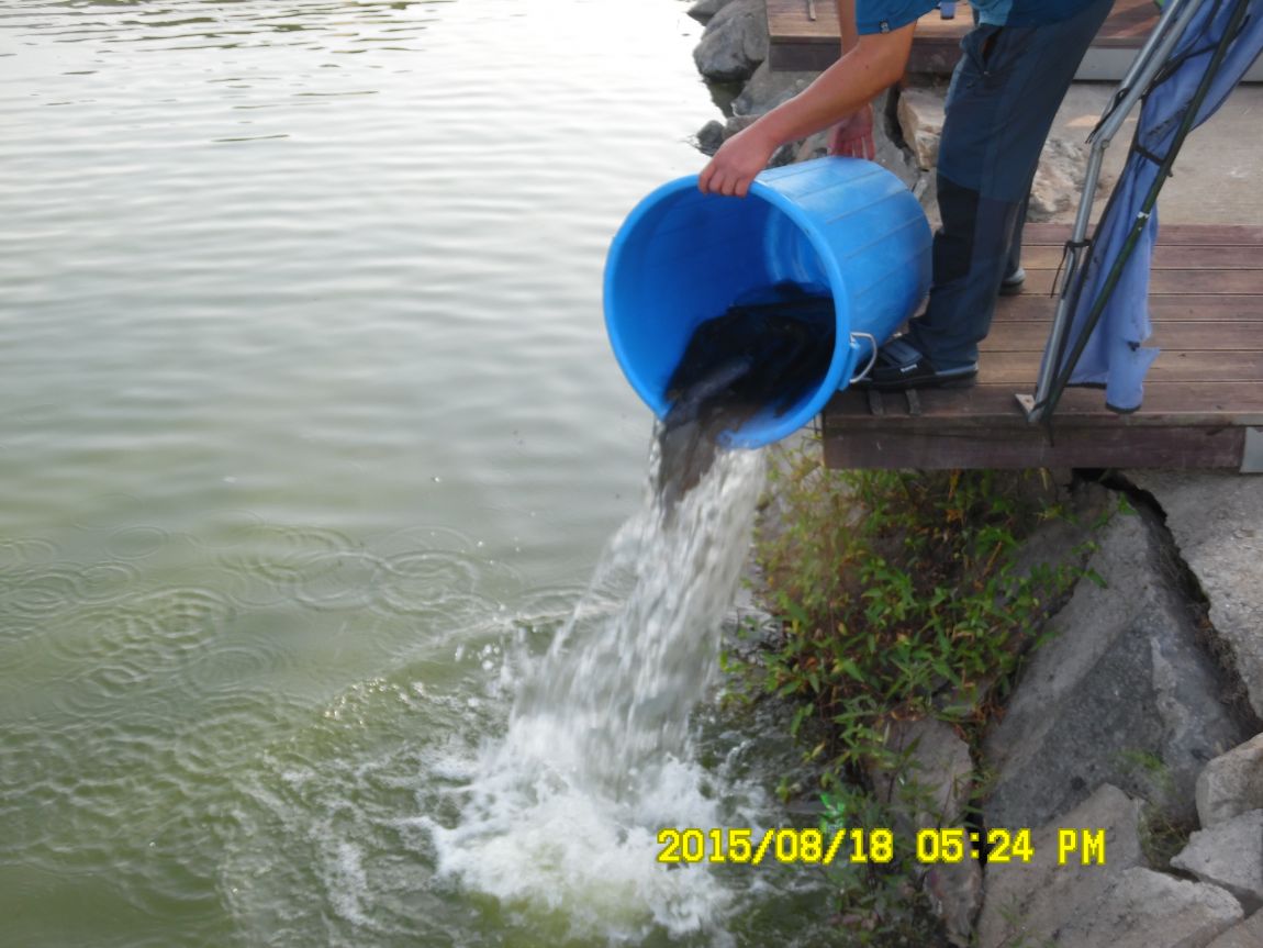 8��17��~18�� 009.JPG