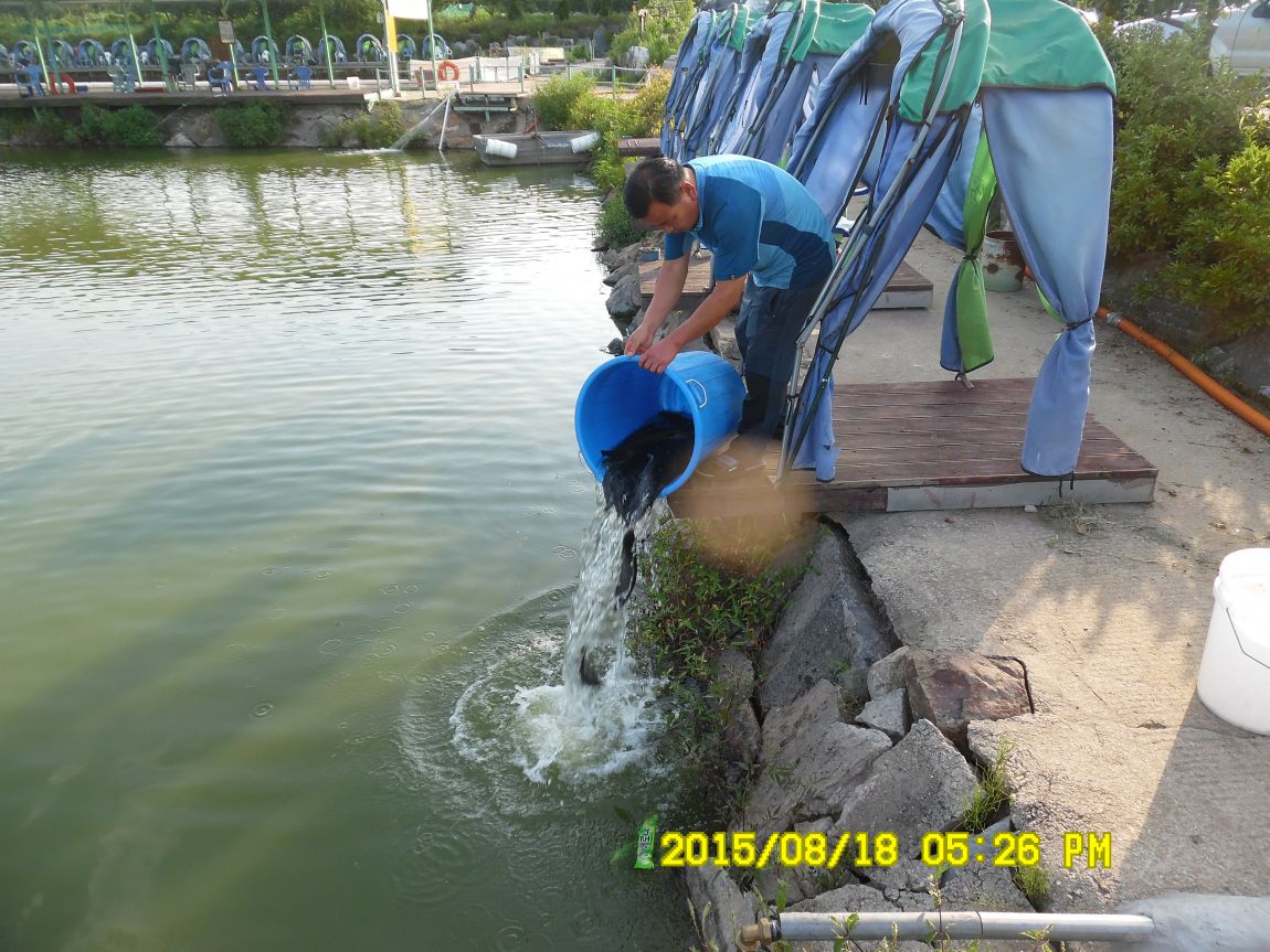 8��17��~18�� 010.JPG