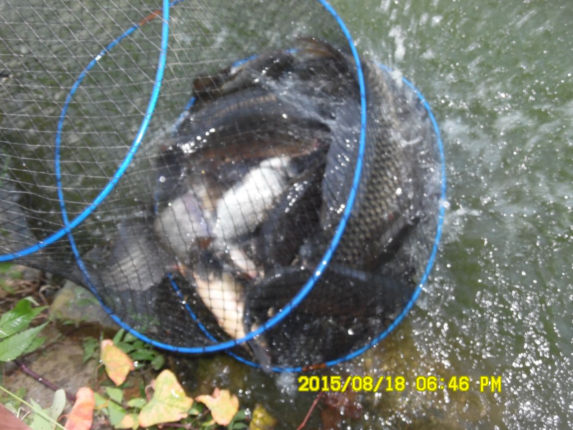 8��17��~18�� 015.JPG