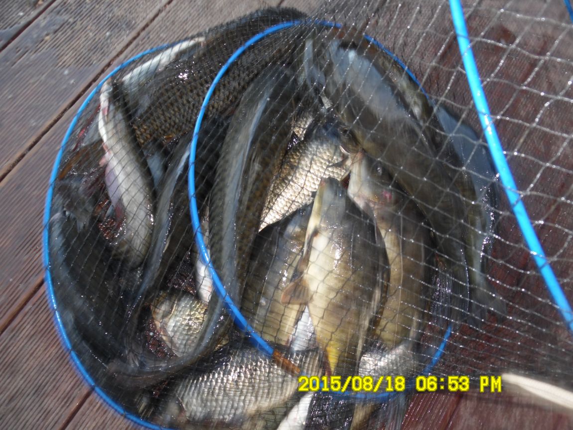 8��17��~18�� 016.JPG