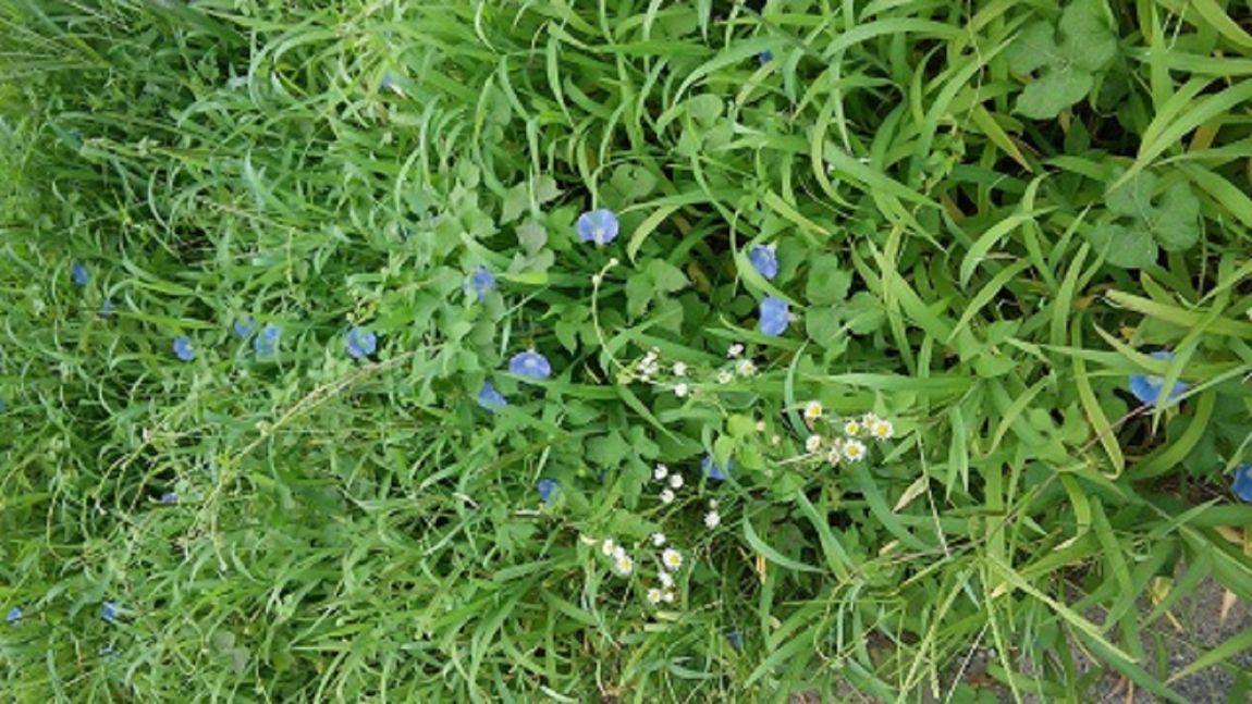 20150816_090451.jpg