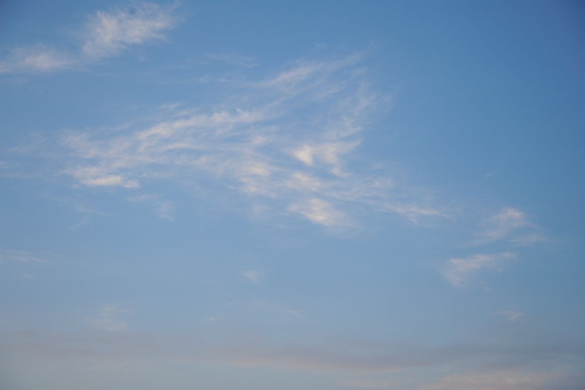 DSC_2959.JPG