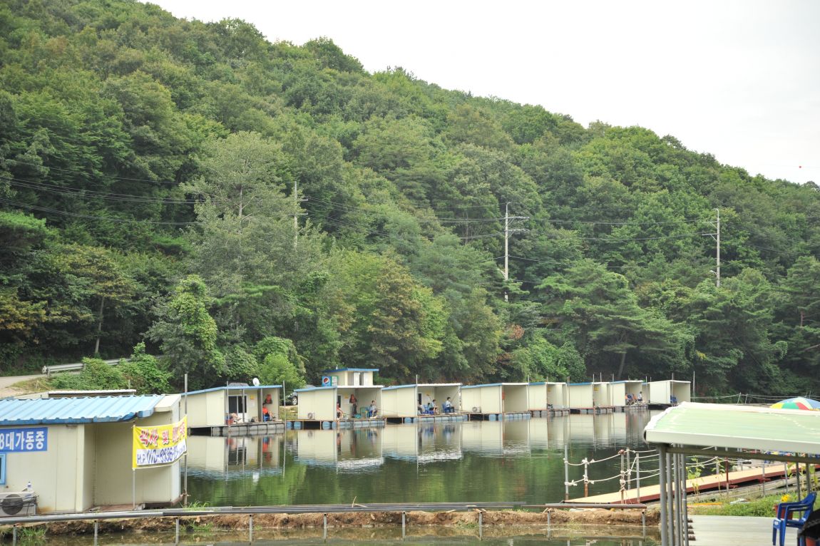 DSC_3135.JPG