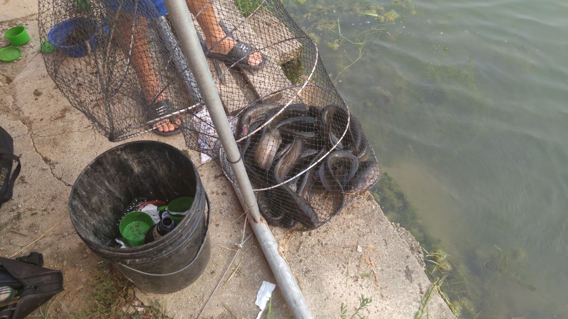 20150815_170621.jpg