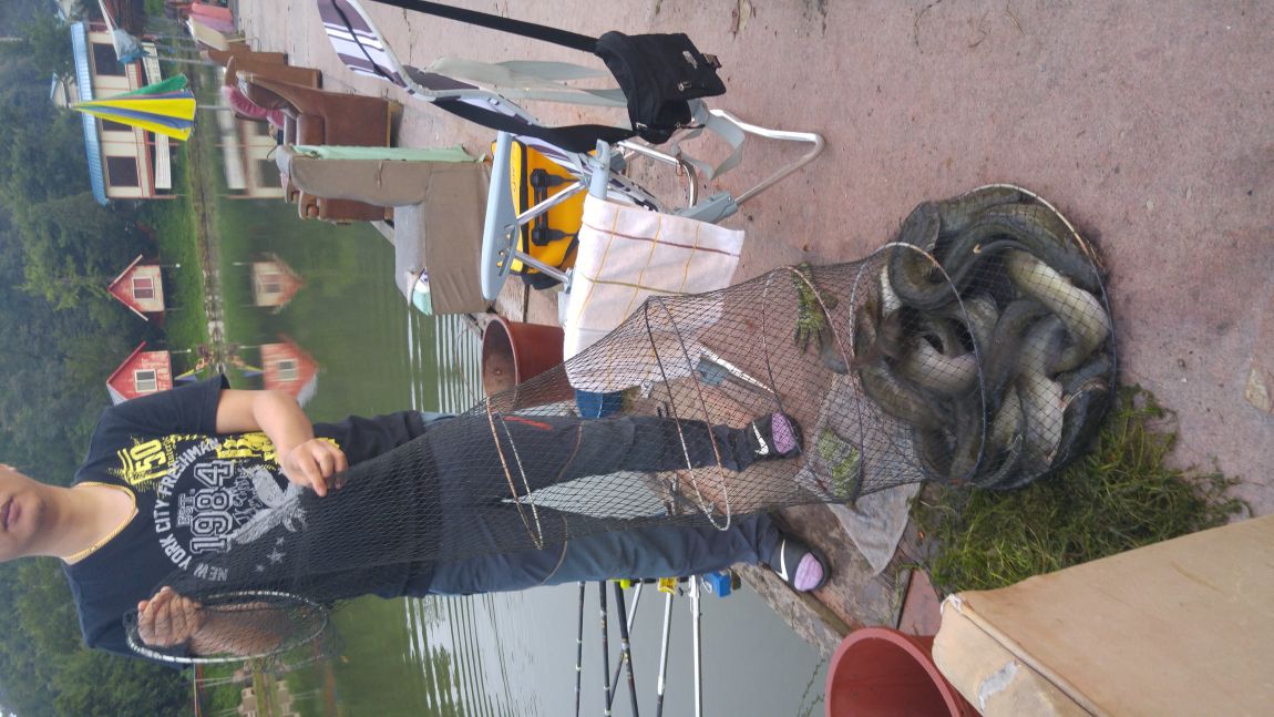 20150818_060631.jpg