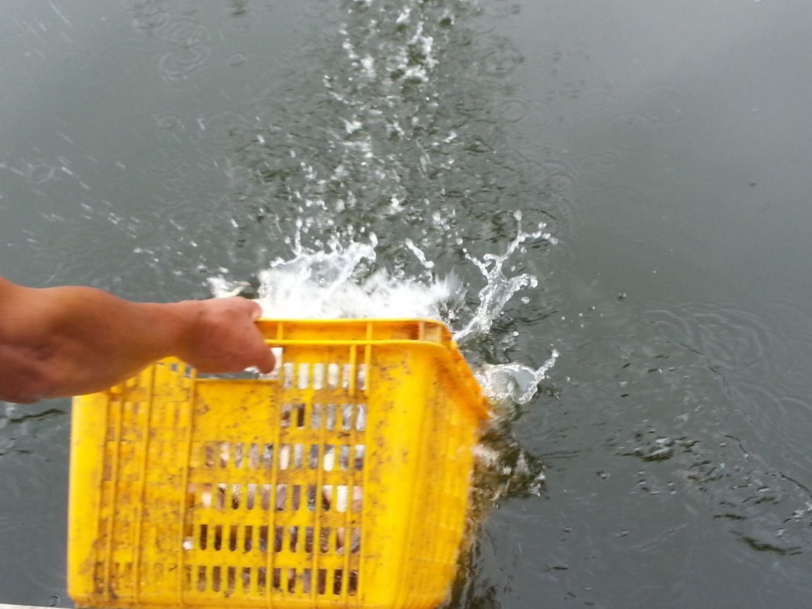 20150814_092857.jpg