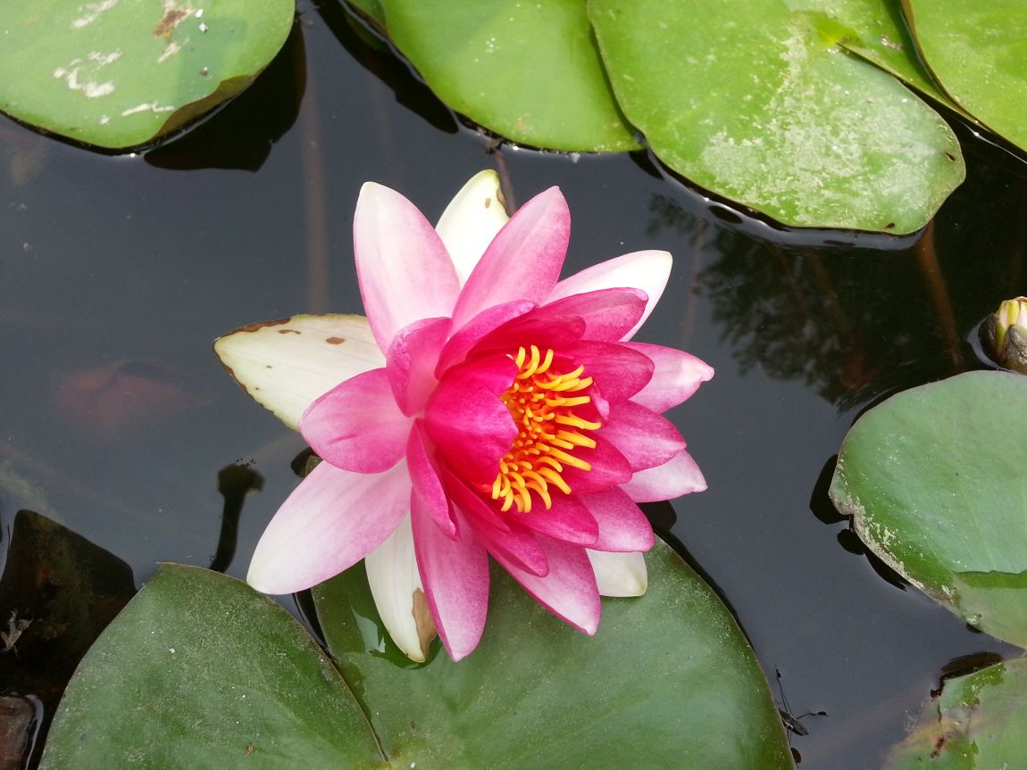 20150624_114320.jpg