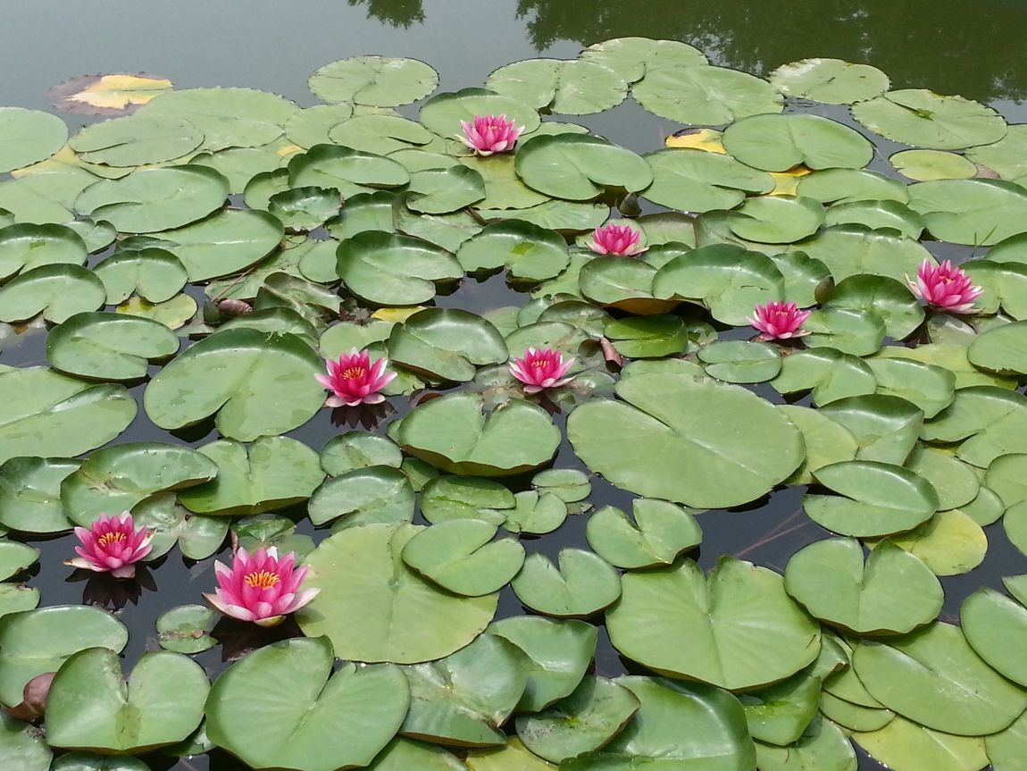 20150624_114137.jpg