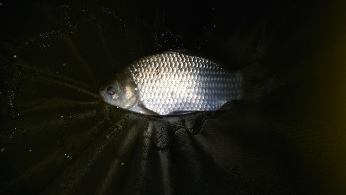 20150813_215036.jpg
