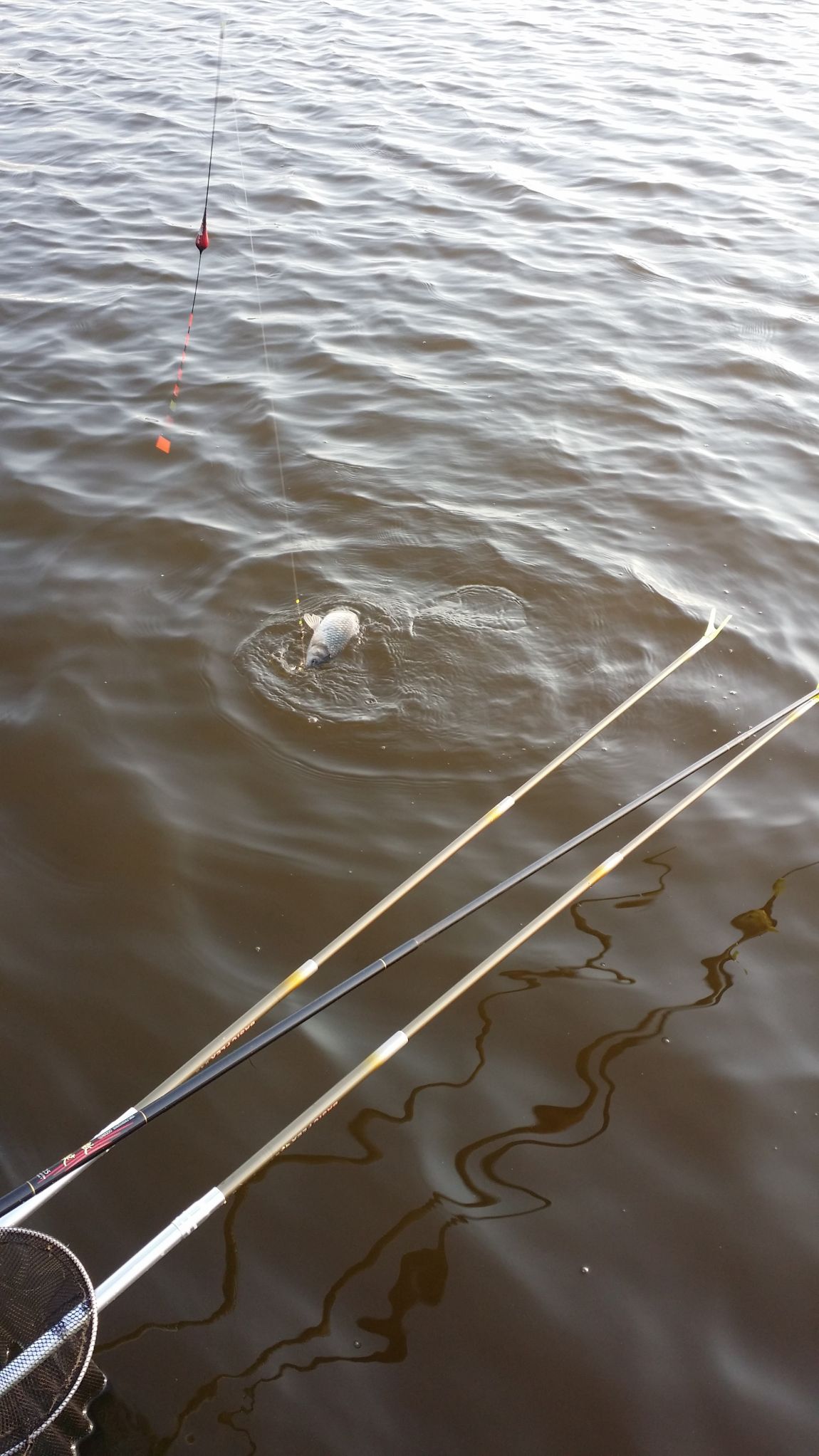 20150814_182225.jpg