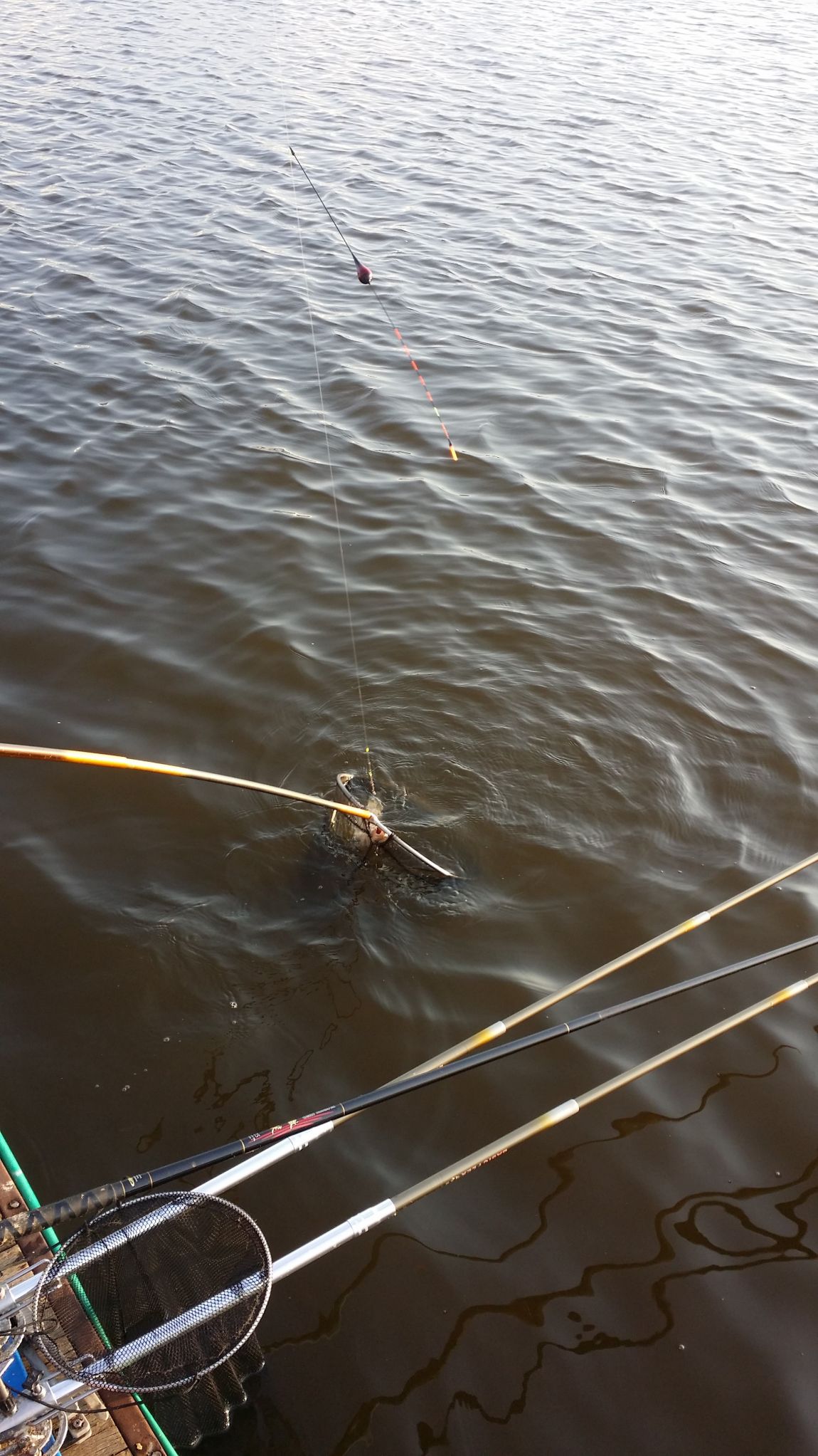 20150814_182228.jpg